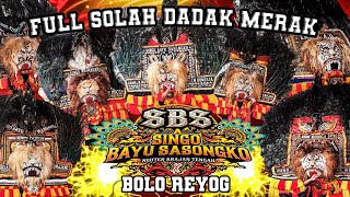 SOLAH DADAK MERAK BOLO REOG NGUTER - PASIRIAN | PAGELARAN REYOG SINGO BAYU SASONGKO TERBARU 2025