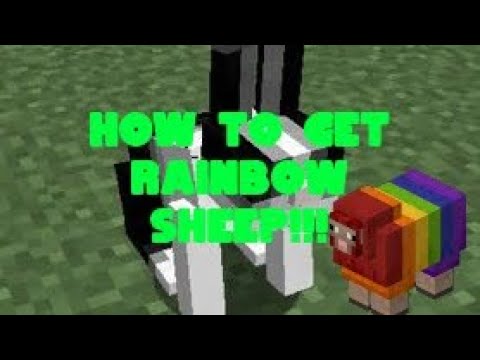 How To Get The Rainbow Sheep In Minecraft - YouTube