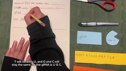 CRISPR LESSON 2 VIRAL INFECTION WORKSHOP TUTORIAL