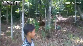 STATUS WA MUNDUR LALAUNAN VERSI BARUDAK CIGANDASUTA SALAM NUNGGAL