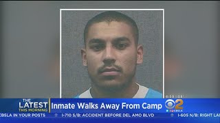 Inmate Walks Away From Ventura County Conservation Camp