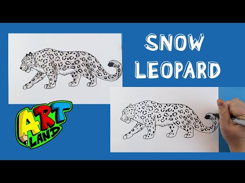 Video: How To Draw A Snow Leopard