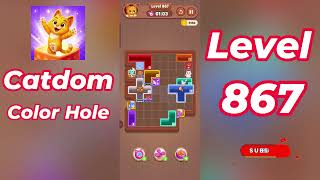 Catdom Color Hole Level 867 Walkthrough [NEW UPDATE] 🐱🟣 | Relaxing Color Puzzle Game | Go Answer