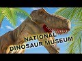 4K National Dinosaur Museum Tour - Canberra - Australia Tourism