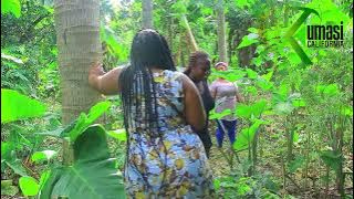 COMING FROM AMERICA ep. 2 FT GYNEL TV||DR KOHWIEGU||KWAKU SAMPSON||ODORCY DORCY||ABENA||