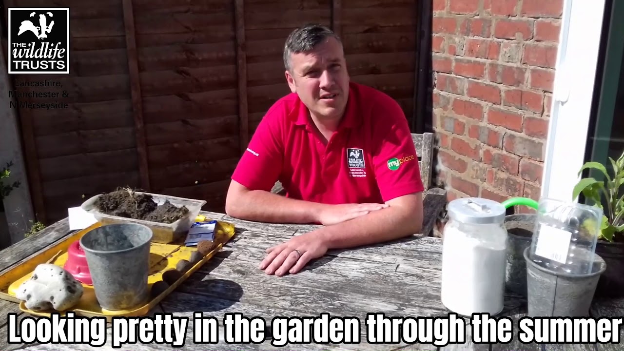 Make your own seed bombs with Mike