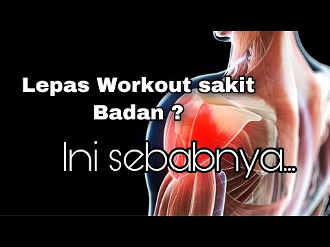 Video: Otot Apa Yang Berfungsi Semasa Bersenam Di Bar Yang Tidak Rata