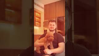 Luxury Apartment Joinery Works Dubai | Custom Woodwork by SLM Interiors #shorts