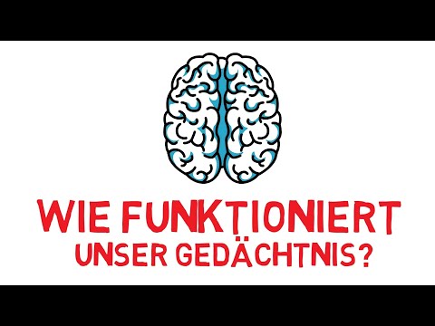 Video: Die Neue Entdeckung Stellt Unser Verständnis Der Gedächtnisbildung In Frage - Alternative Ansicht