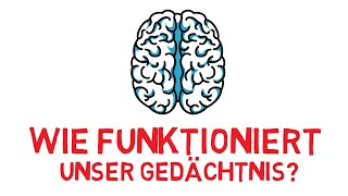 Wie funktioniert unser Gedächtnis? Sofort mehr Lernen (Trick)