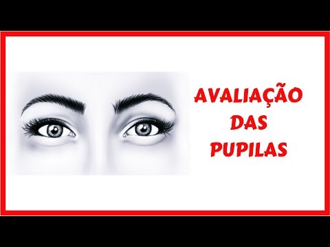 hqdefault - Avaliação das pupilas: conheça sua importância