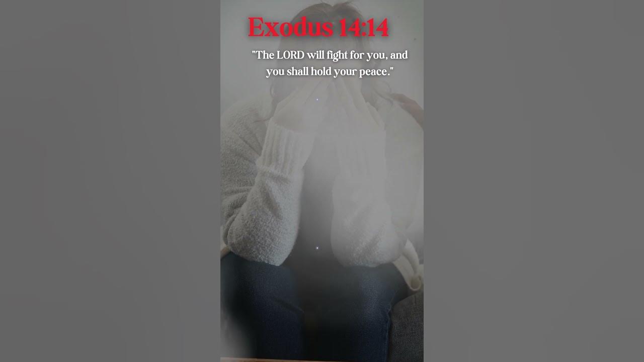 exodus-14-verse-14-jesusmessage-bibleverses-todaywords