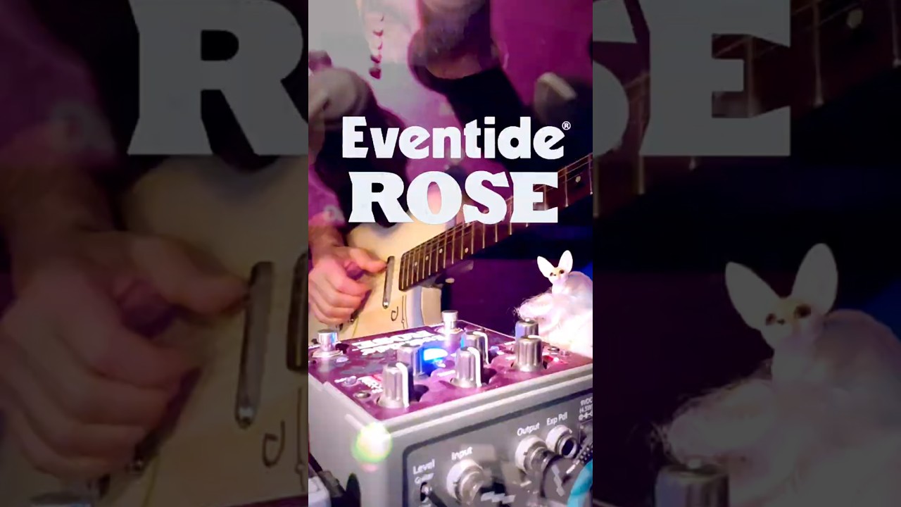 Danelectro U2 / Eventide Rose / ToneX Amalgam Blonde Bassman