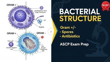ASCP Study Guide: Complete Bacterial Structure Review | MLS MLT Prep