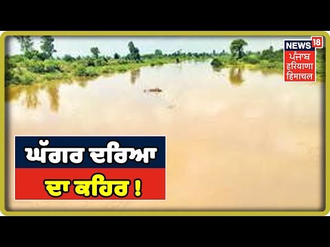 ਸਮਾਣਾ `ਚ ਘੱਗਰ ਦਰਿਆ ਦਾ ਕਹਿਰ | News 18 Live\ Punjab Latest News
