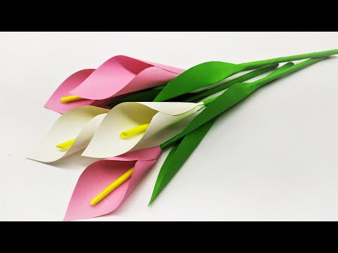 Бумажные цветы своими руками из бумаги самые простые видео уроки
