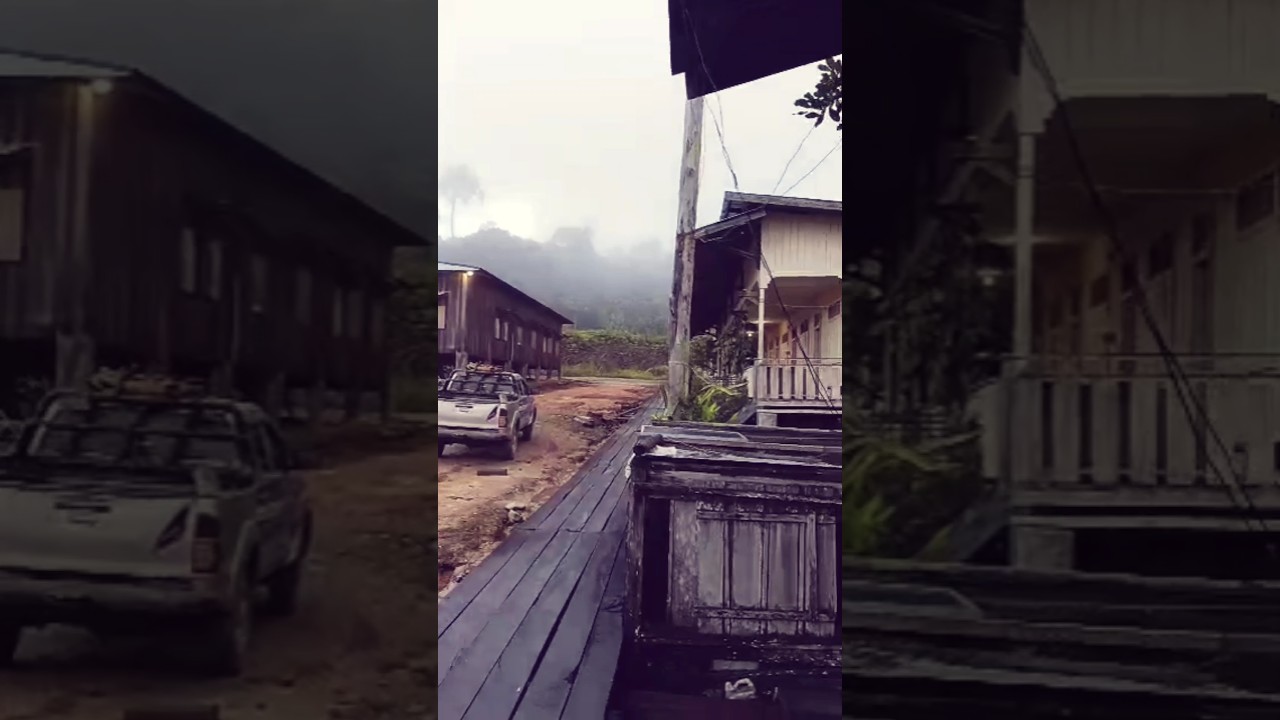 Situasi pagi hari di camp perusahaan kayu di tengah hutan kalimantan 