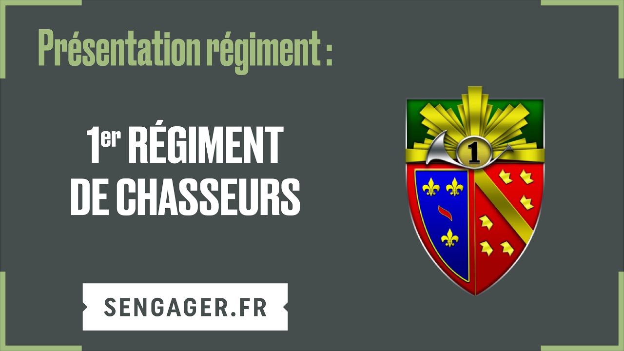 ECUSSON INSIGNE TISSU 1 er RCP régiment de chasseur parachutiste Militaire Patch EUR 12,00 - FR