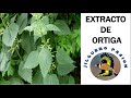 EXTRACTO DE ORTIGA - ENCELADOR NATURAL PARA JILGUEROS, PARDILLOS Y CANARIOS