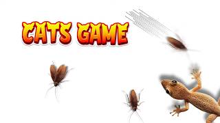 CAT GAMES 🐾CAT TV | 3D Game for Cats | Videos for Cats😻Catching Mice, Lizard, Bird, Ladybug! 4K60fps