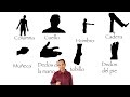 Anatomía básica 3.1 Términos de movimiento (primera parte)