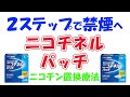 【禁煙補助薬】ニコチネルパッチ　紹介