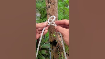 a simple but better tying style  #knotskill #shortvideo #diy #tips