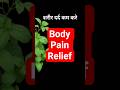 🌿 शरीर दर्द कम करने के लिए रात में तुलसी पानी |🌿Tulsi Water at Night for Body Pain Relief|Ayurvedic