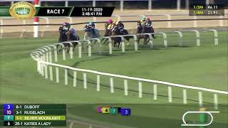 November 19, 2025  Race 7