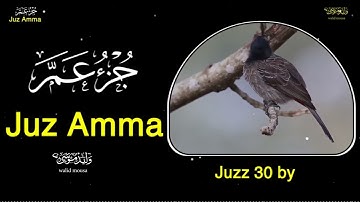 جزء عم تلاوات تلامس القلوب وتبعث السكينة | Juz Amma Heart-touching Quran Verses Bringing Serenity