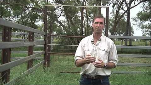 Forage budgeting overview