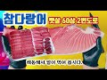 [활어티비] 참치해동법 참다랑어뱃살 오도로손질 참치회 (bluefin tuna)