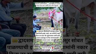 बकासुर सोबत पाळण्याची इच्छा आहे...#bakasur #trending #shorts #viral #motivation #ytshorts #love