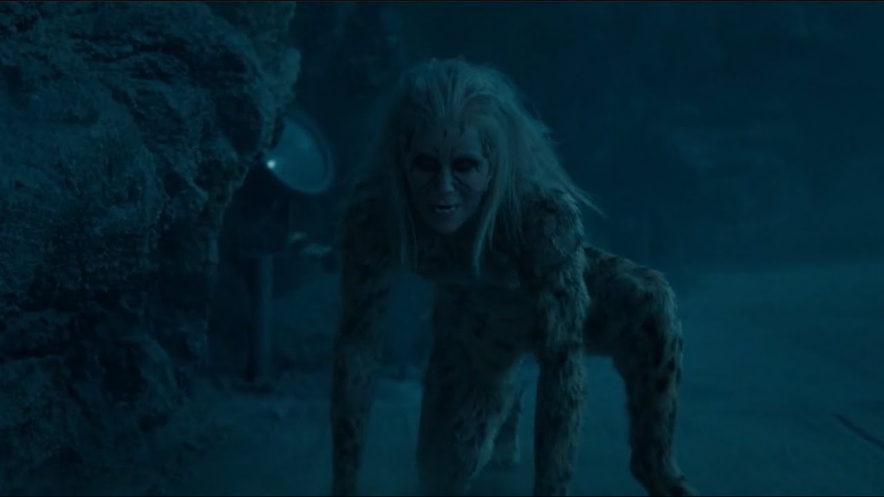 Cheetah (DCEU) Powers and Fight Scenes - Wonder Woman 1984 - YouTube
