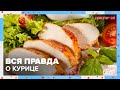 КУРИНЫЙ разгрузочный день | Доктор 24