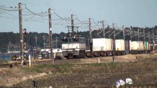 2010-03-11 [成田線] EF65 1091 + コキ100系 + コキ50000形, 高速貨1456