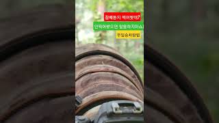 참매둥지 무임승차 방법.