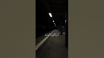 إنك ميت وإنهم ميتون ثم إنكم يوم القيامة عند ربكم تختصمون .القارئ|| ماهر المعيقلي