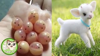 Vídeos De Animais Fofos Bebê Compilação Momento Fofo Dos Animais   Animais Mais Fofos # 1