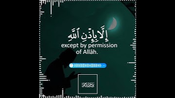 تلاوة هادئة تريح الأعصاب 😴🎧 القارئ: شريف مصطفى سورة: التغابن 💙❤