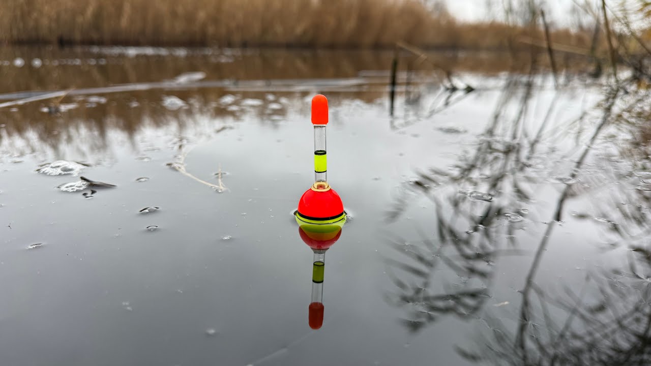 Рибалка на ХИЖИЙ ПОПЛАВОК. Ловля ВЕЛЕТНІВ на махову вудку. Таке в мене вперше