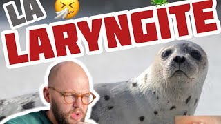La Laryngite Cette Toux De Phoque