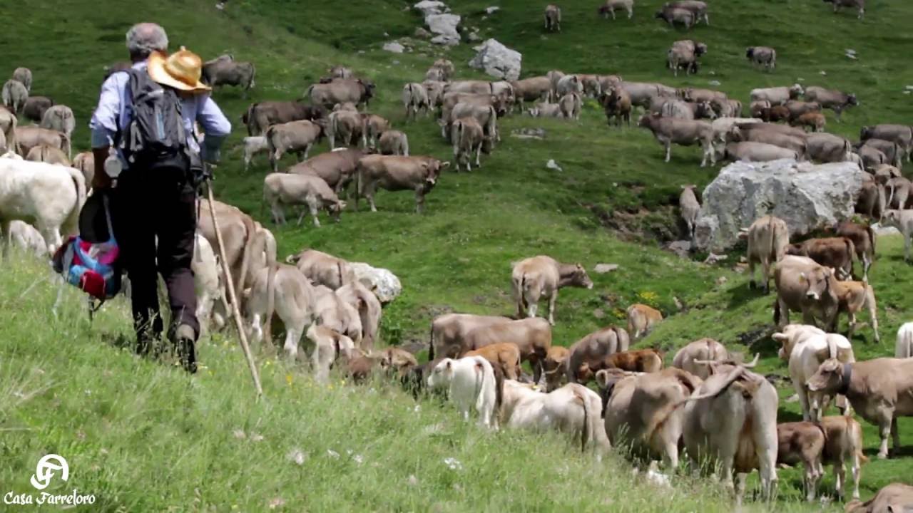 Casa Farreloro - Trashumancia