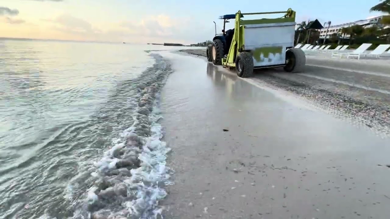 SLS Playa Mujeres - Walk-Through - Beach & Sandy Areas Near Pools