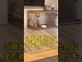 あわよくば何度もご飯を貰おうとする大型犬ラブラドールレトリバー #shorts #shortvideo #ラブラドールレトリバー