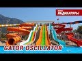 Индикаторы Форекс - Gator Oscillator  Подробный разбор