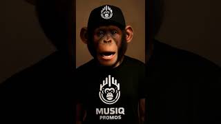 Musiq Promos Ai  You Took Her Away