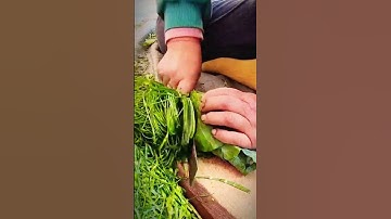 cool skill of slicing leaves thinly #shorts