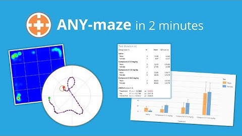 ANY-maze in 2 minutes