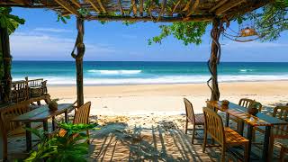 Tropical Relaxation Jazz Coffee & Bossa Nova Harmony - Beach Ambience for Ultimate Stress Relief by Relax Jazz & Bossa 896 views 3 weeks ago 24 hours